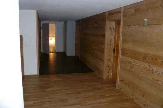 Albisser 2013 02 01 003