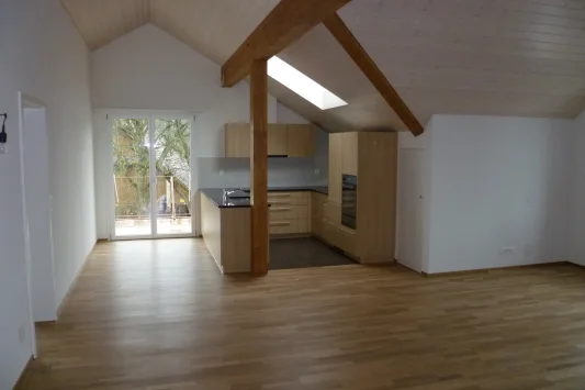 Albisser 2013 02 01 015