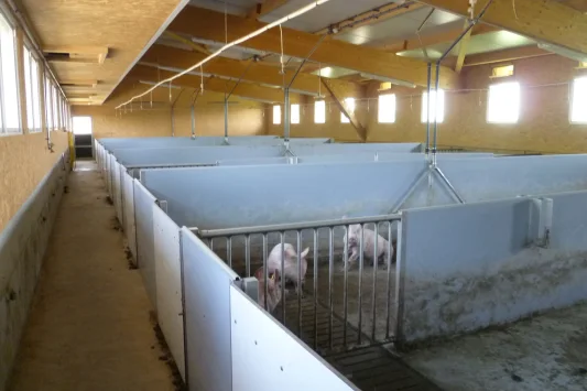 Ryser 2015 08 06 008