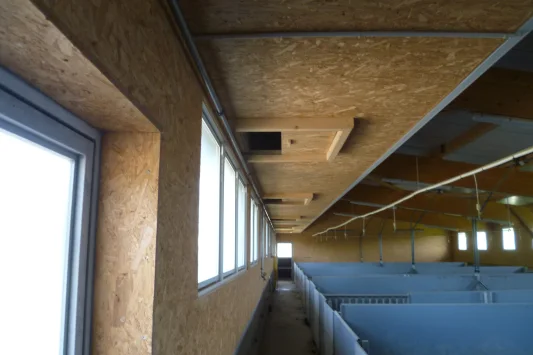 Ryser 2015 08 06 009