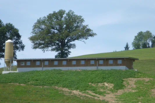 Ryser 2015 08 06 001